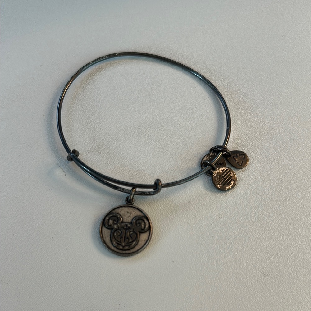 Disney Silver Alex And Ani Charm Bracelet 15$